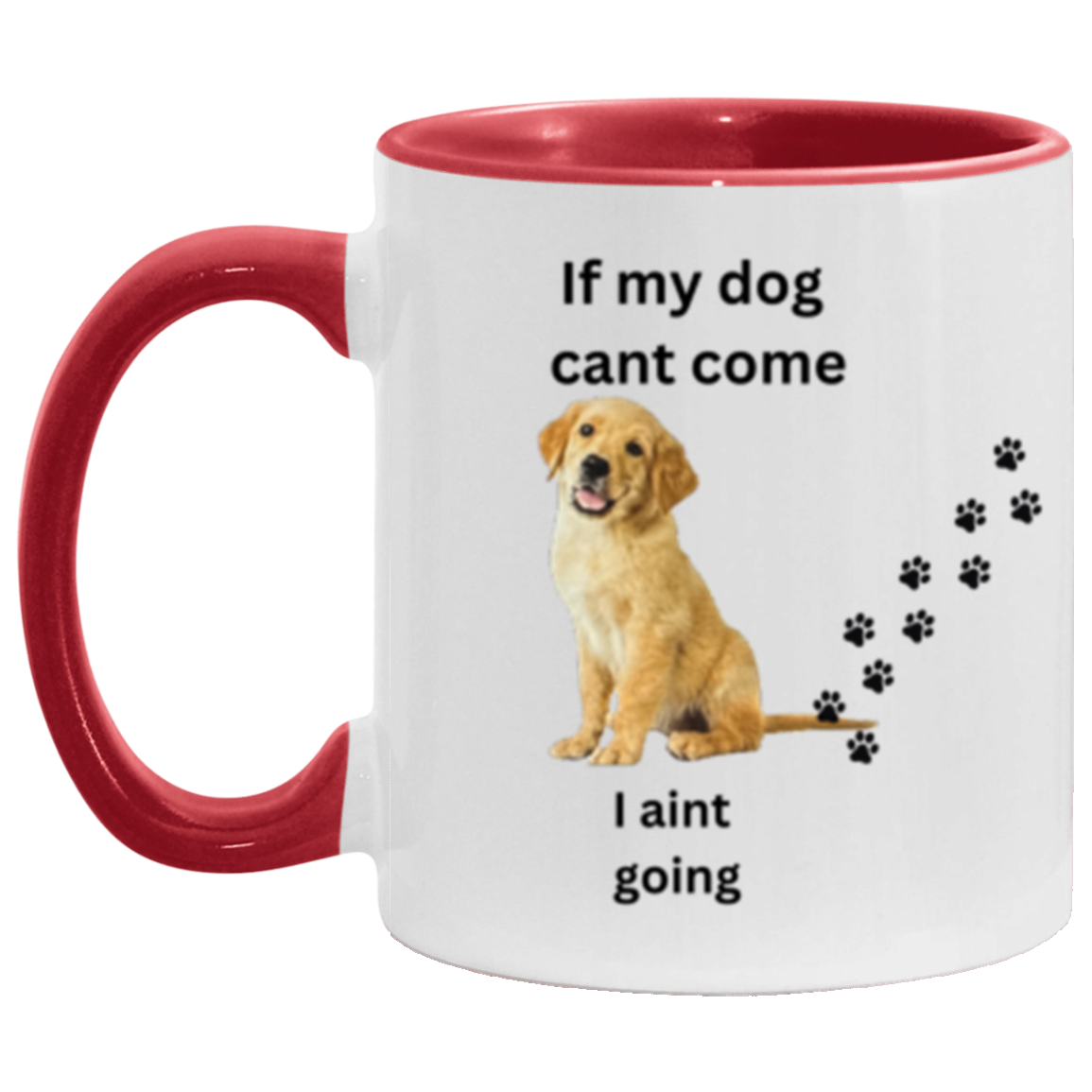 DOUBLE SIDED ACCENT MUG 11oz