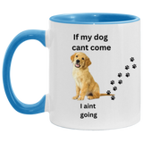DOUBLE SIDED ACCENT MUG 11oz
